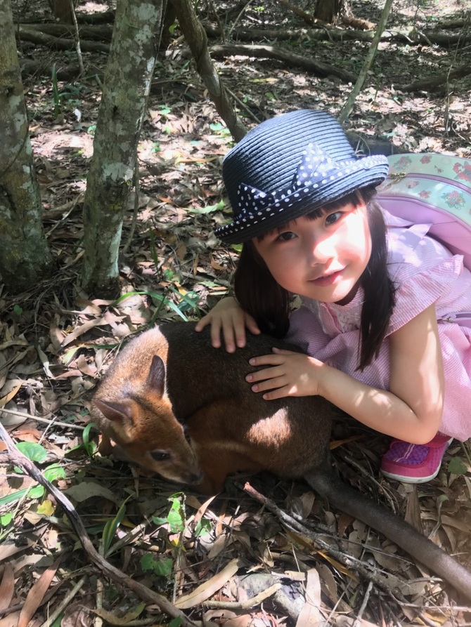 佐賀県 三光幼稚園 佐賀県 三光幼稚園